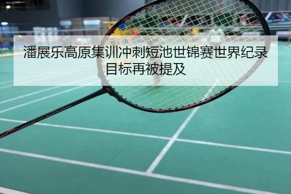 潘展乐高原集训冲刺短池世锦赛世界纪录目标再被提及